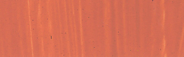 Roberson Oil Charles Oil Colour 225ml Flesh Tint S1