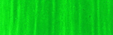Roberson Oil Charles Oil Colour 225ml Light Green S1