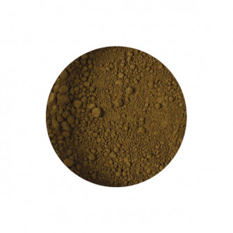 Pigment 15 ml Raw Umber