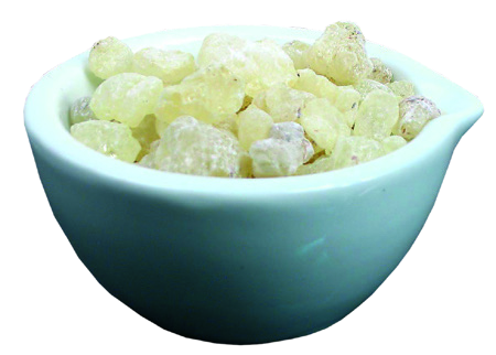Cornelissen Gum Dammar 1 Kilo