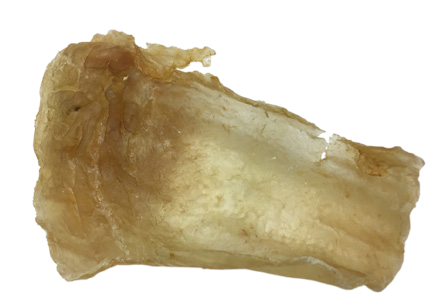 Cornelissen Isinglass Sturgeon 100 grams