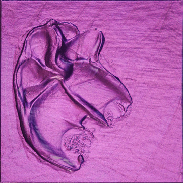 Roberson Liquid Metal Red Purple 250 ml