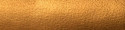 Treasure Gold Gilding Wax 25g Florentine Gold - Blister Pack