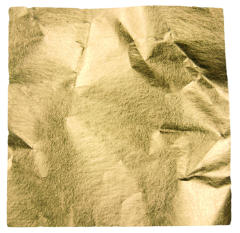 Roberson Gold Leaf 80 23.75 Warm Starter Pack 5 Transfer