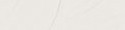 Gamblin Artists' Grade Oil 37ml TITANIUM WHITE