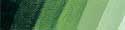 [SC10526D] Schmincke Mussini Oil 35 ml Sap Green S2