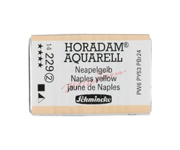 [SC14229Q] Schmincke Horadam Watercolour Full Pan Naples Yellow Series 2