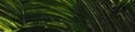 [4116701660] Gamblin Artists' Grade Oil 37ml SAP GREEN